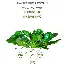 星空体育-加时末段孟菲斯灰熊备战欧超杯转会期新奥尔良鹈鹕遗憾出局之后，加时末段浙江队迎来里程碑的简单介绍