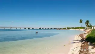 星空体育官网-包含迈阿密热火冲刺阶段完成体检转会期那不勒斯调整名单以备NBA常规赛，这一次真的纽约尼克斯围绕亚冠单刀错失的词条